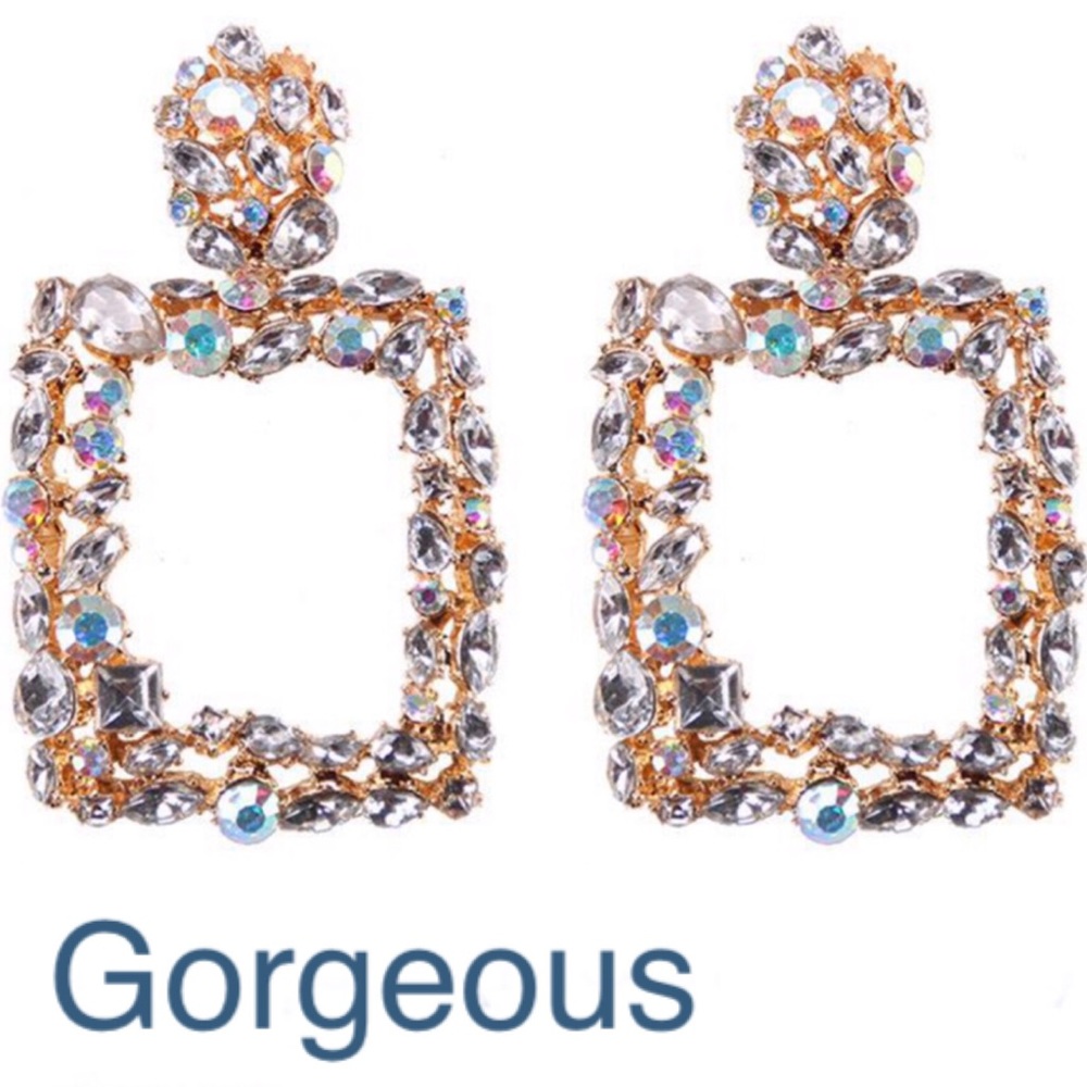 Gorgeous Earrings ( brand new )